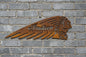 Indian Motorcycle Sign