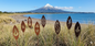 3 x Garden Paddle Sculptures